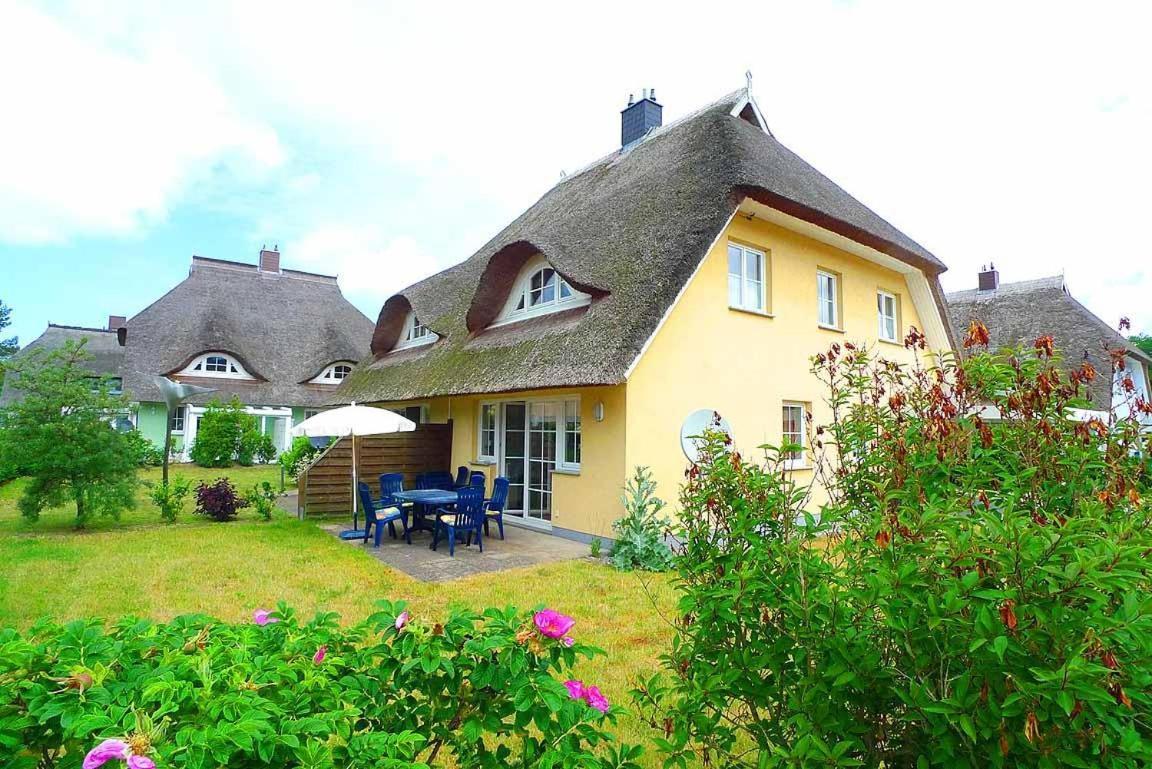 Ferienhaus An Der Alten Waldschaenke Ws-11A ボルン エクステリア 写真